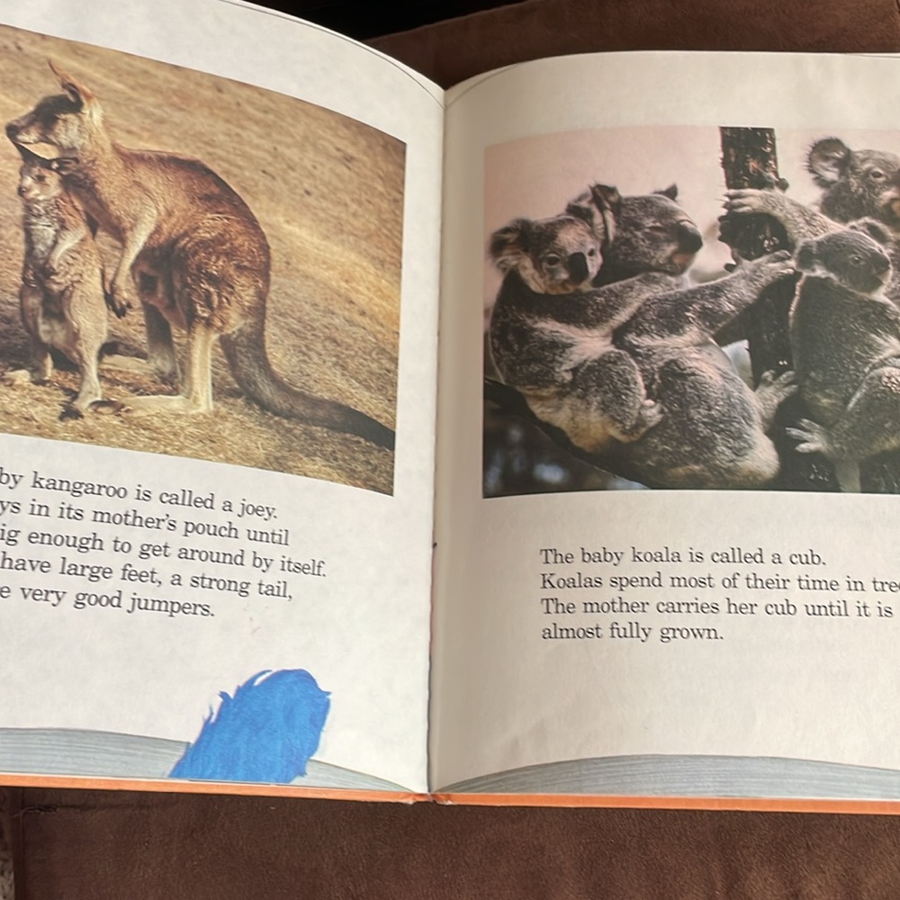 Sesame Street Grover's Book of Cute Little Baby Animals Hardcover 1980 - Picture 8 of 10